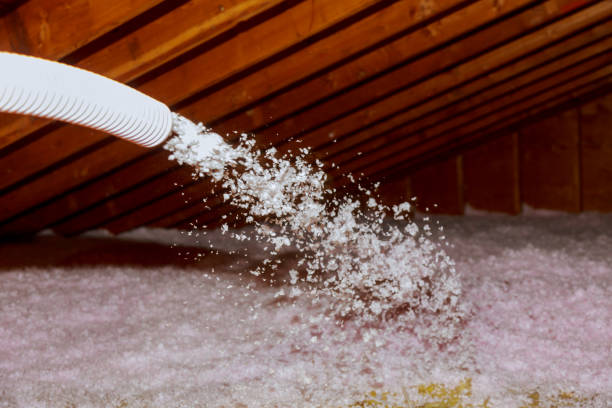 Best Commercial Insulation in South Corning, NY