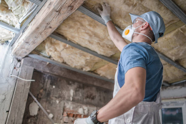 Best Geographic-Specific Insulation Services in South Corning, NY