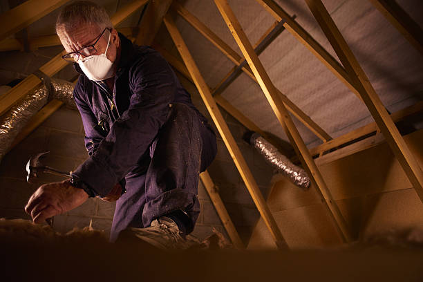 Best Residential Insulation in South Corning, NY